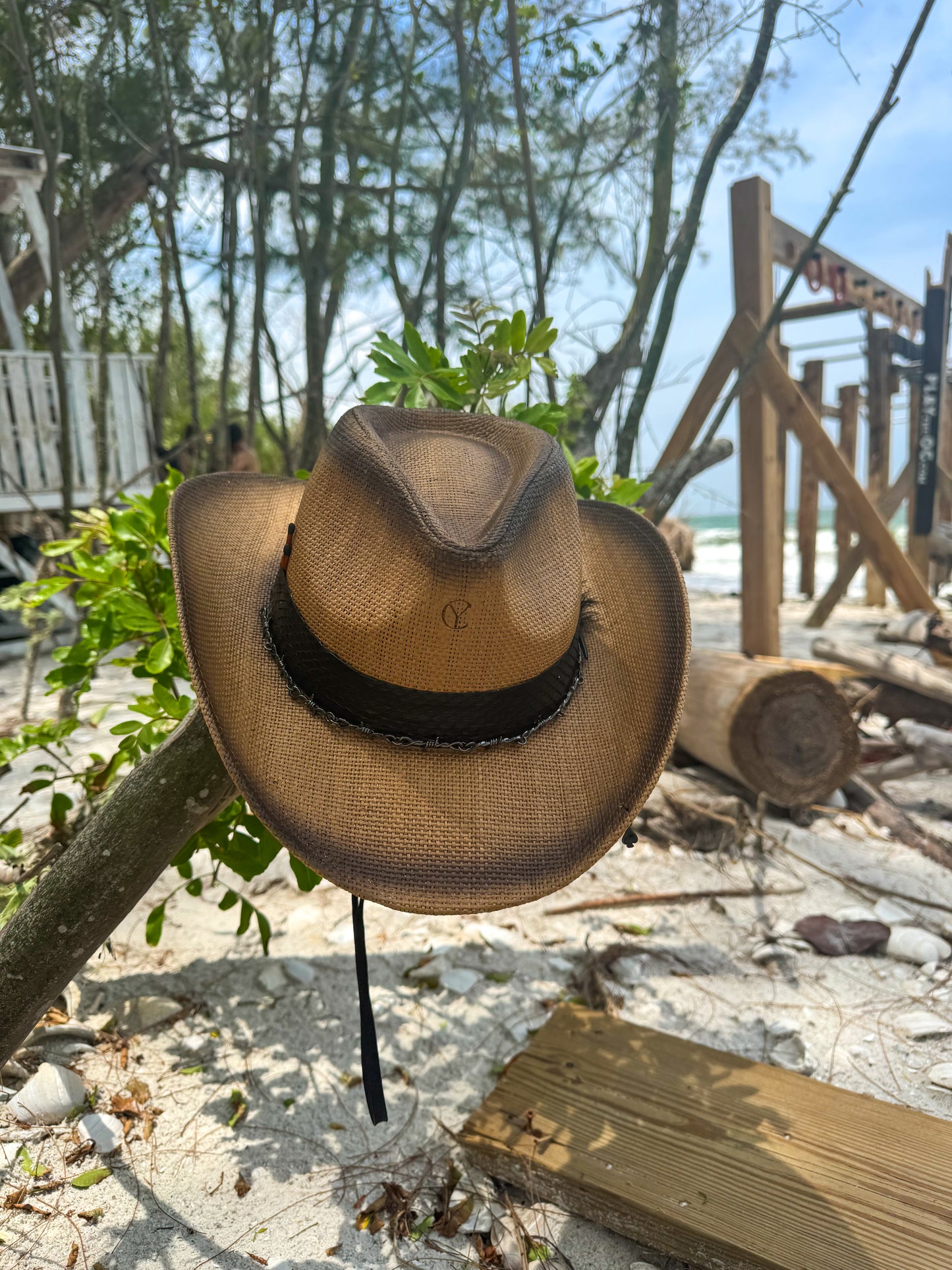 Black Swan of Summer Palm Hat